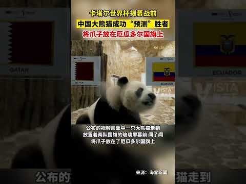 国安新帅冬,训开课亲自,授课引关注,中国玩彩网,中国玩彩网首页,中国玩彩网首页官方