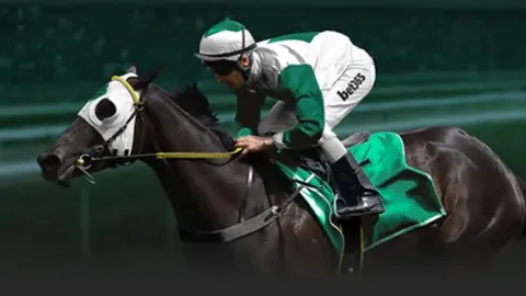 鲍威尔赞快船队展现非凡团队精神，告别个人主义作风