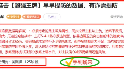 大乐透期号专家质合分析推荐：瓦尔韦克前景看好