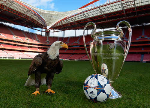 当主教练的 当主教练的